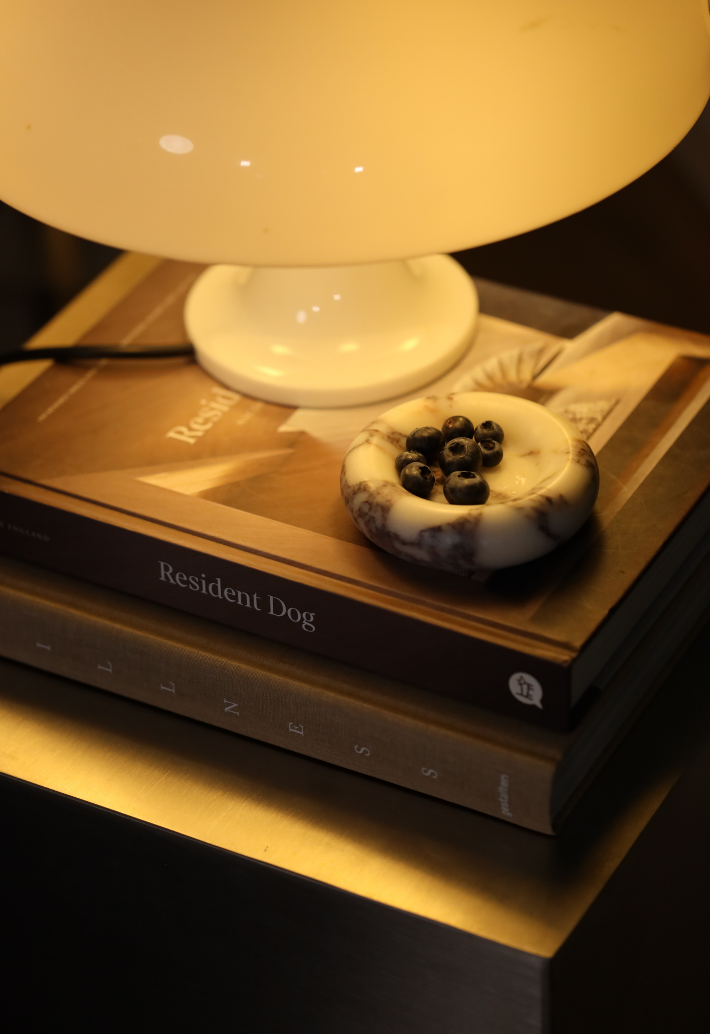 Breccia Capraia Marble Plate - The Feelter