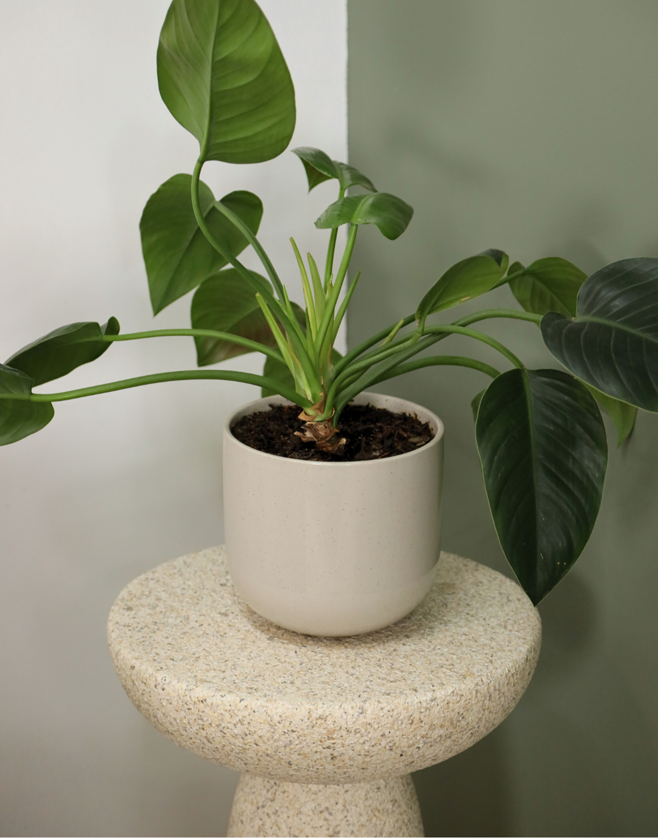 Sand Series | Neha Outdoor Side Table