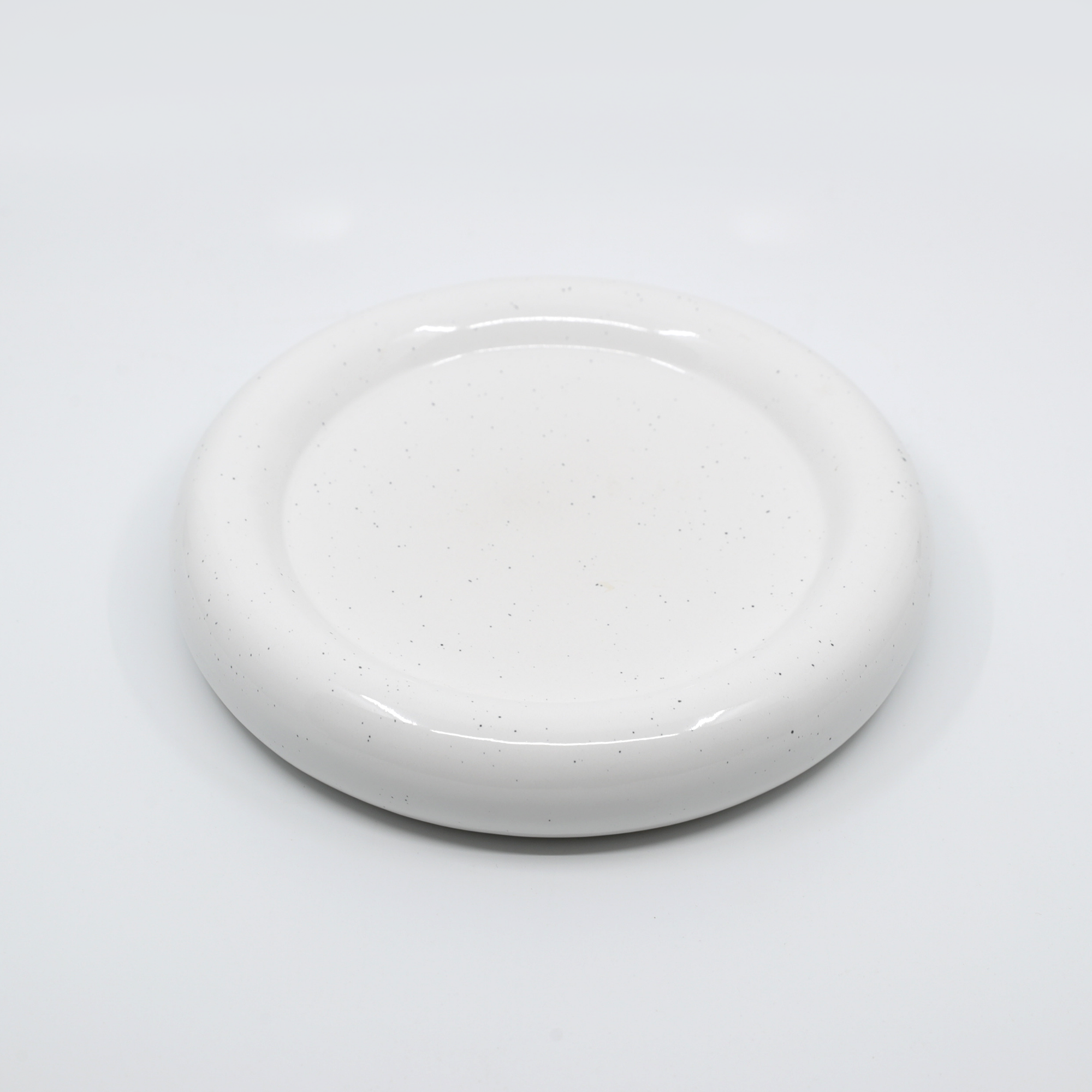 Circle Shaped Speckled Plate