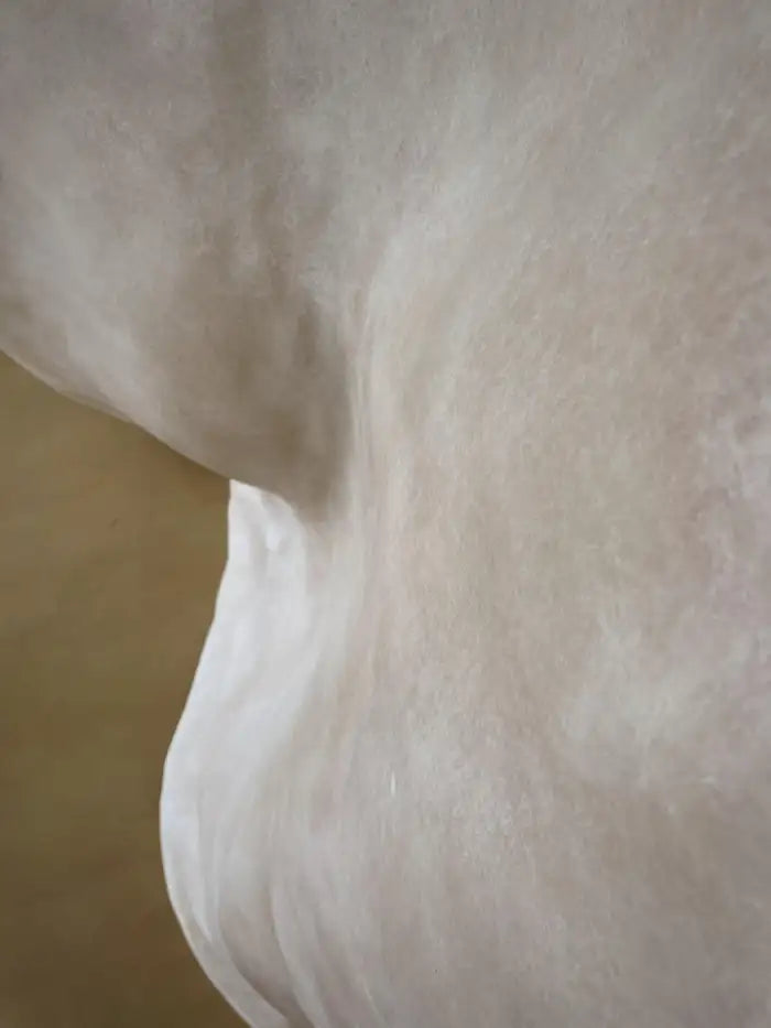 Kar Studio | Knead Screen