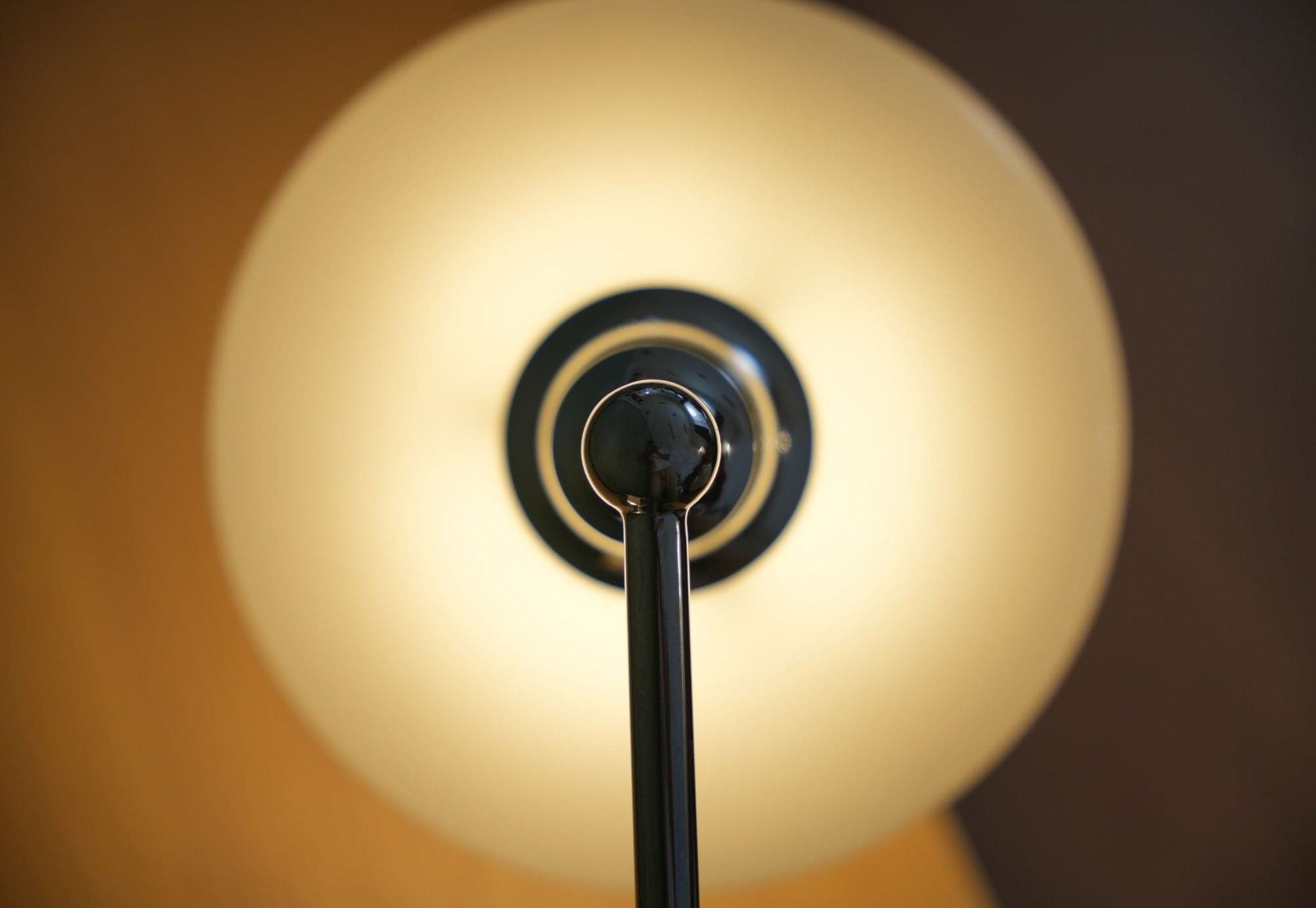 Cleo Table Lamp - The Feelter