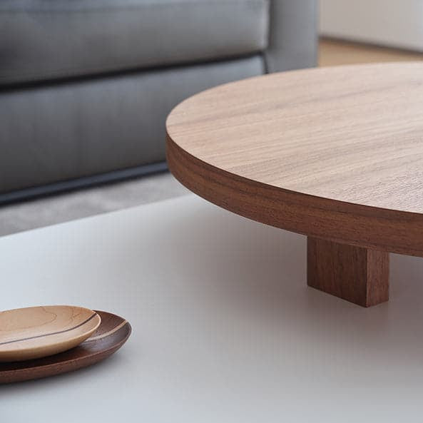 Designer Split Level Coffee Table