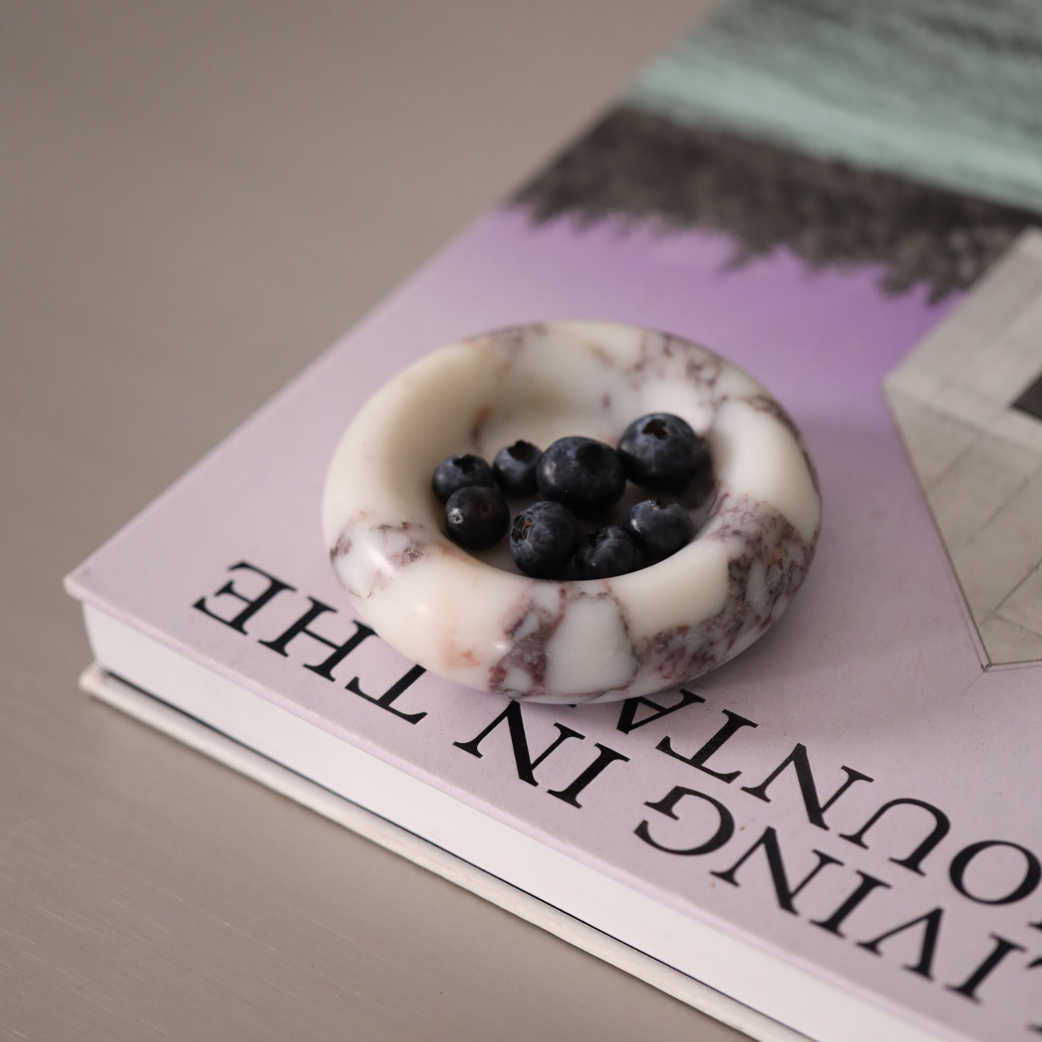 Breccia Capraia Marble Plate - The Feelter