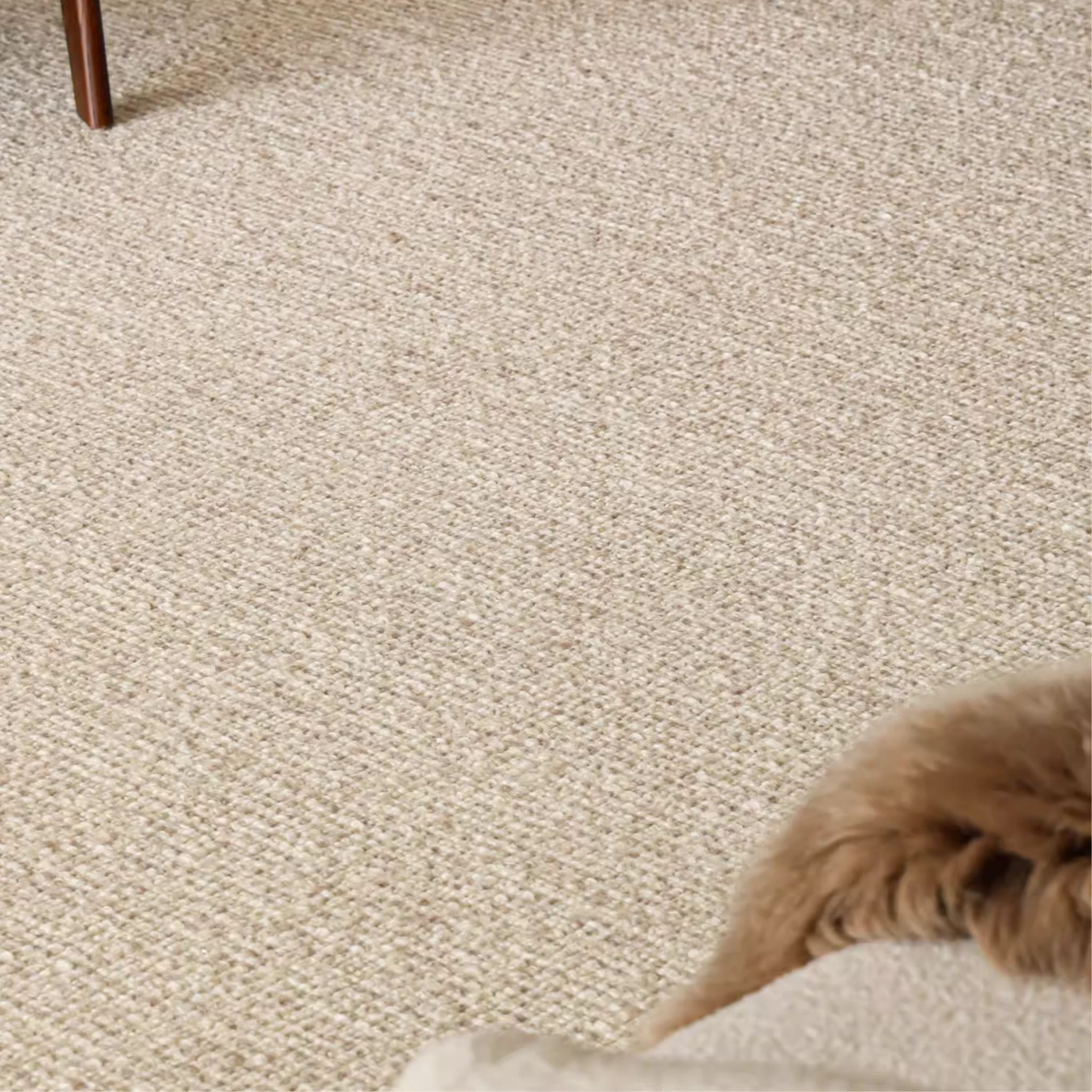 Hay Wool Rug