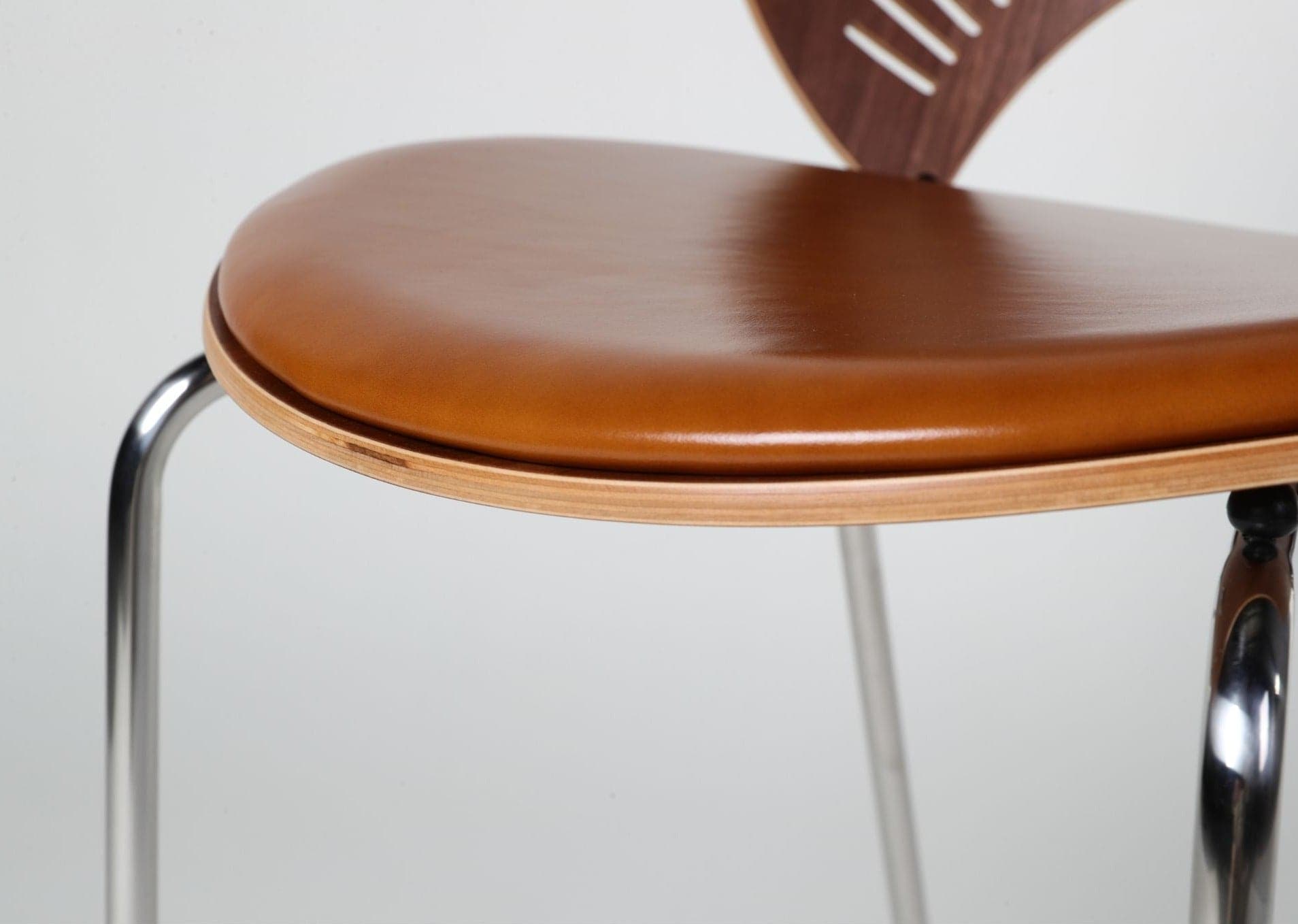 Fan Dining Chair - The Feelter